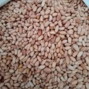 Arachides grillées – snack naturel riche en protéines