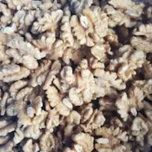 Une poignée de noix fraîches, source naturelle d'oméga-3 et d'antioxydants.