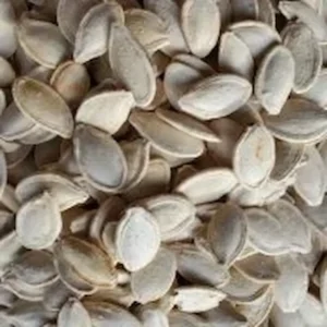 Graines de citrouille grillées et salées – snack naturel et croquant