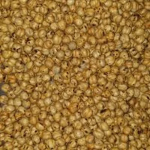 Pois chiches jaunes grillés et salés dans sachet kraft – Snack riche en protéines végétales – Noix de Luxe