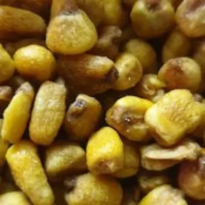 Grains de maïs grillés salés croustillants – sachet kraft Noix de Luxe