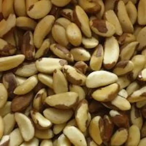 Noix du Brésil entières, croquantes et naturelles – emballage kraft Noix de Luxe