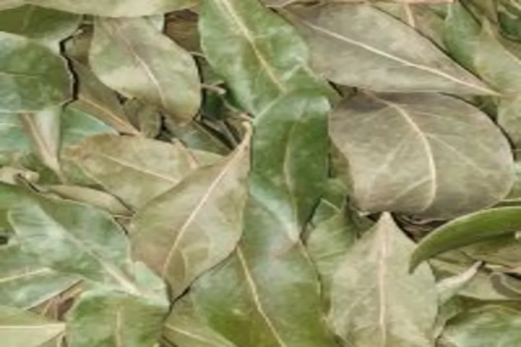 Image représentant un assortiment coloré d'épices et d'herbes aromatiques, incluant du curcuma, du cumin, du paprika, du thym, du romarin et du basilic, utilisées pour rehausser les saveurs des plats tout en apportant des bienfaits nutritionnels naturels