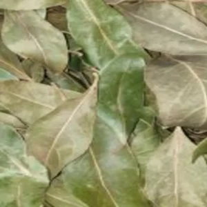 Épices et herbes