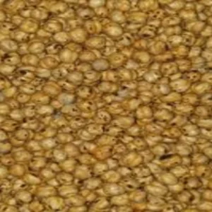 Légumes Secs