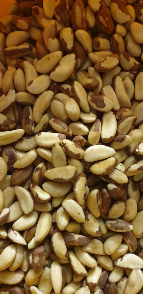 Noix du Brésil naturelles riches en sélénium, présentées en gros plan, illustrant les bienfaits nutritionnels des noix du Brésil.
